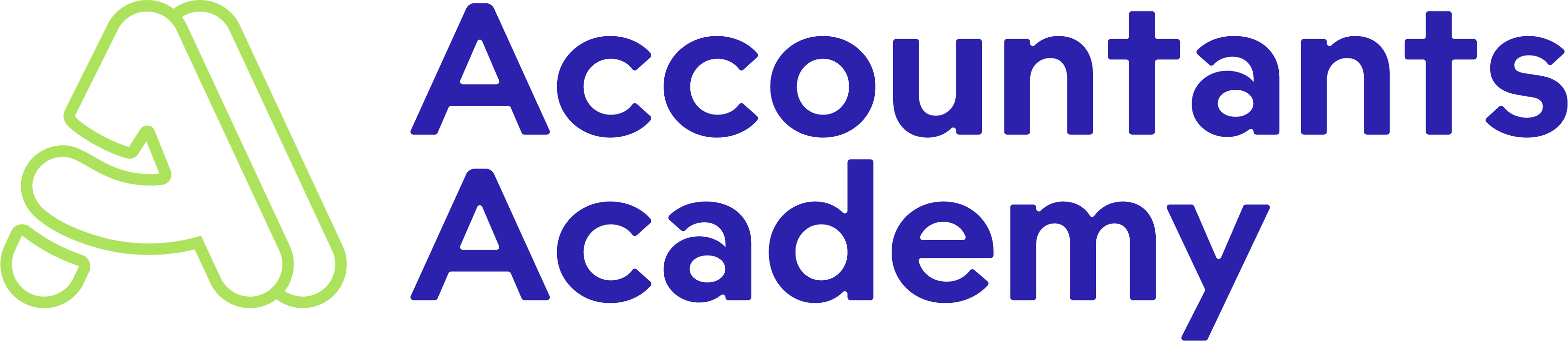 Accountants Academy